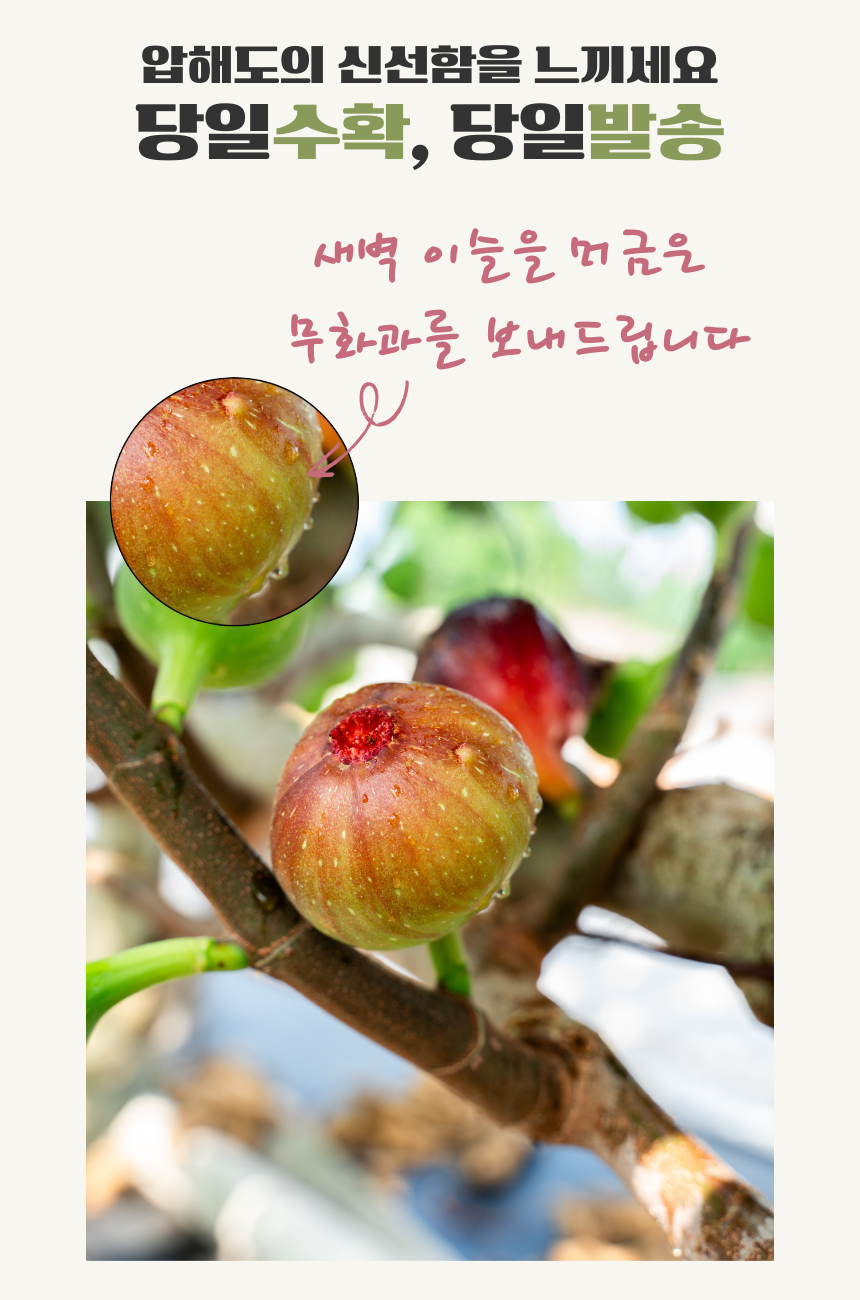 상세페이지 4